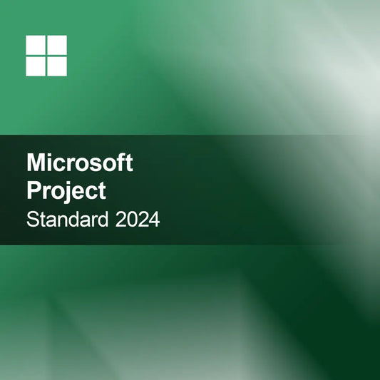 Microsoft Project Estándar 2024